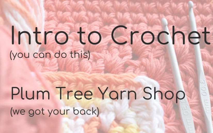 Crochet class: Intro to Crochet