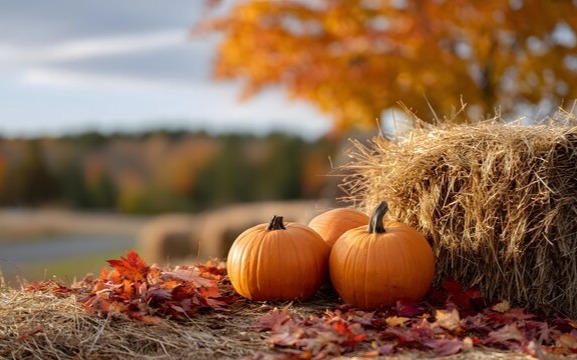 Pancake Breakfast at the Fall Consignment Sale