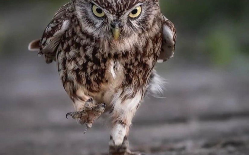 Ugly Sweater Run & Karaoke!!